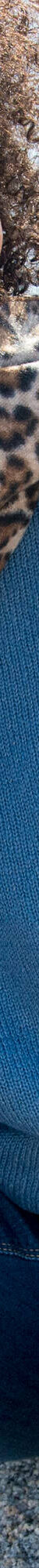 Pull col rond finitions écailles (bleu grisé) Pull col rond finitions écailles (bleu grisé)